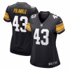 Women’s Pittsburgh Steelers Troy Polamalu Nike Black Retired Player Jersey